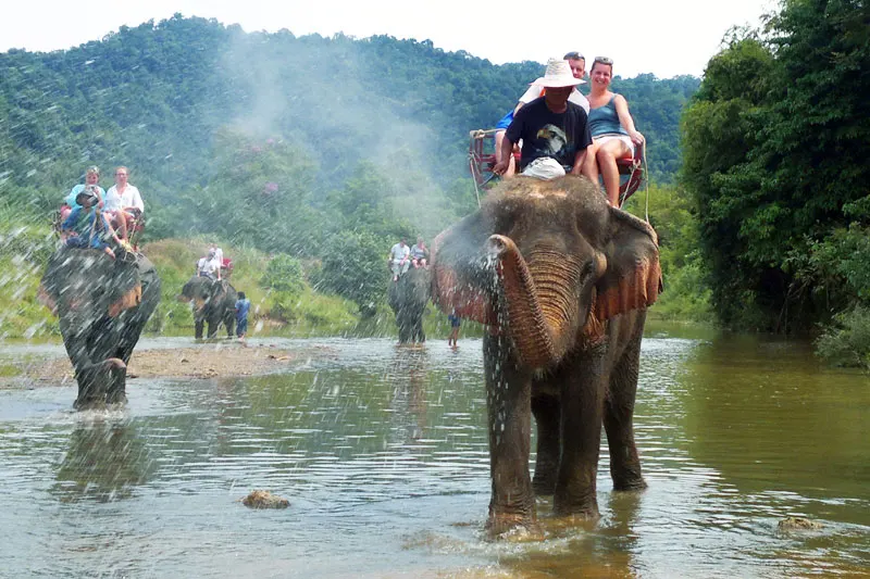 An Afternoon with the Elephants at Phuket Elephant Sanctuary