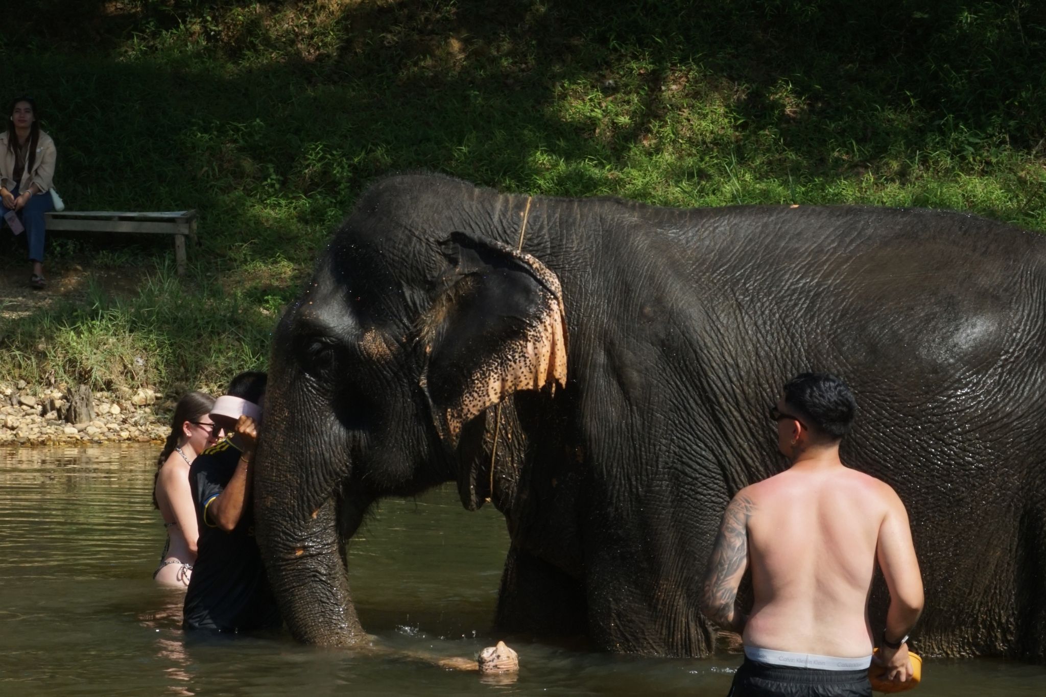 Mega 1 - Khao Sok & Cheow Lan Lake