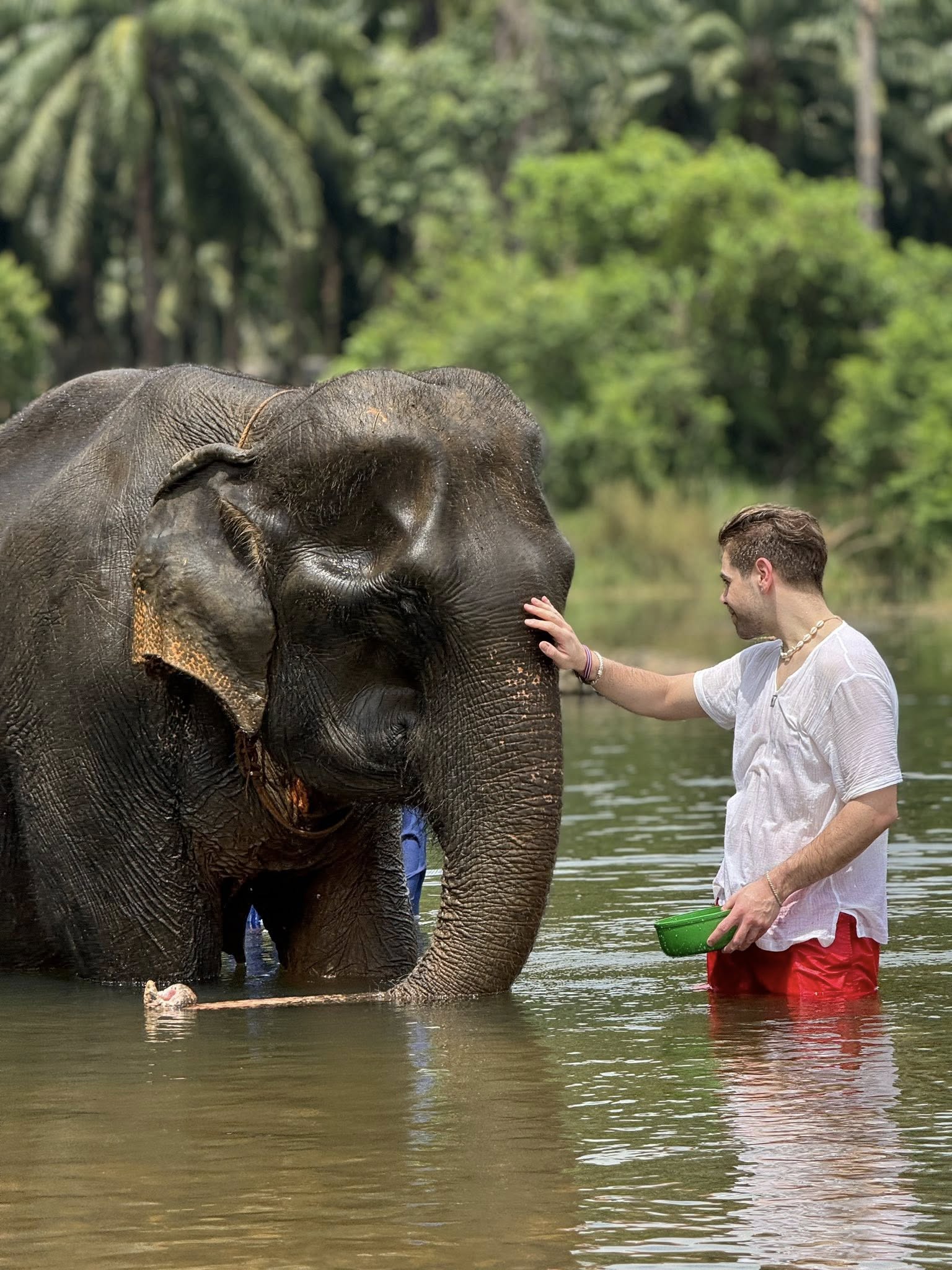 Mega 3 - Overnight Khao Sok & Cheow Lan Lake Journey