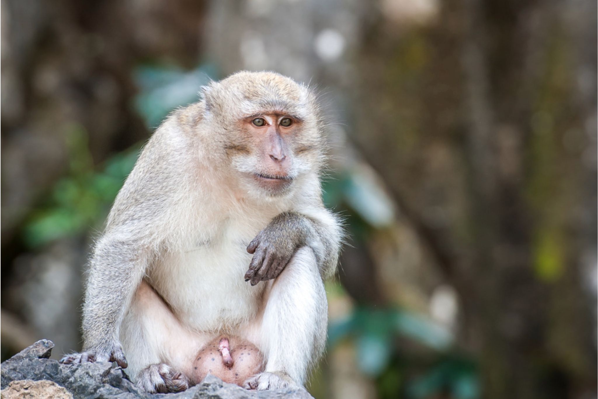 Mega 5 - 3 Days 2 Nights For 2 People Khao Sok & Cheow Lan Lake Explorer