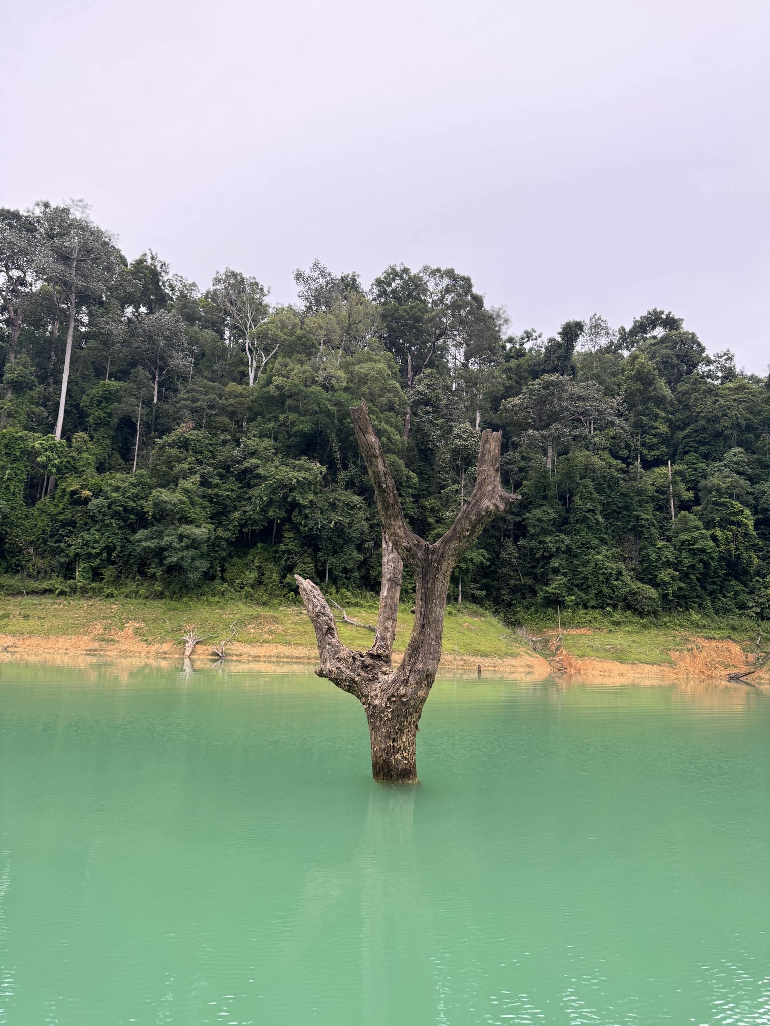 Mega 5 - 3 Days 2 Nights For 2 People Khao Sok & Cheow Lan Lake Explorer
