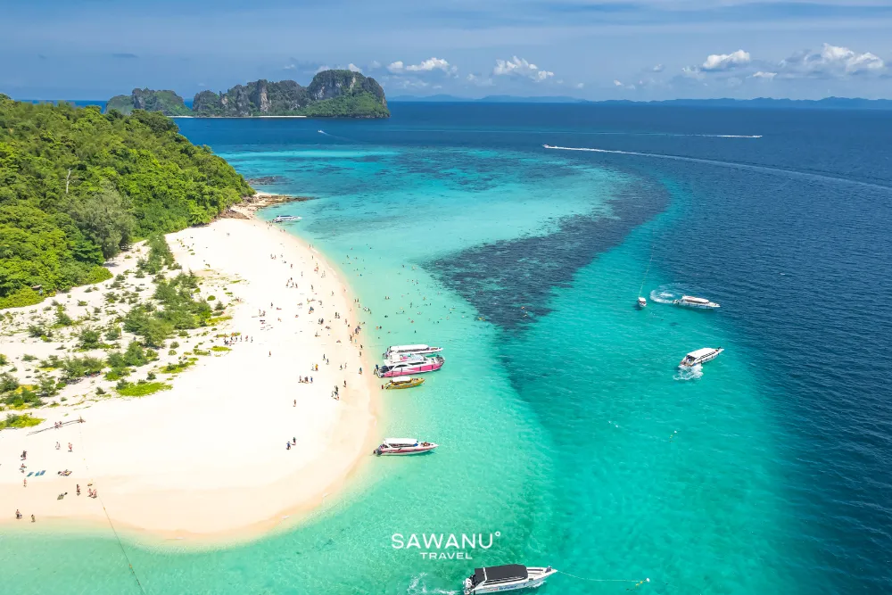 Phi Phi Island & Bamboo Island - Speed Catamaran - SWN