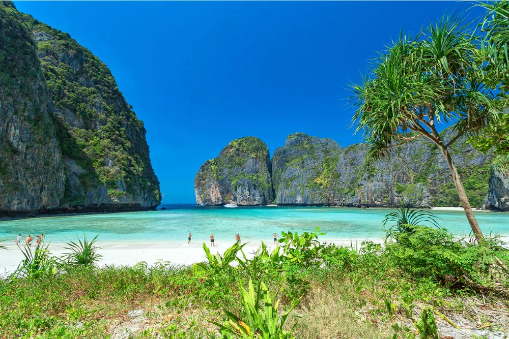 Phi Phi Island & Khai Island - Speed Catamaran - SWN