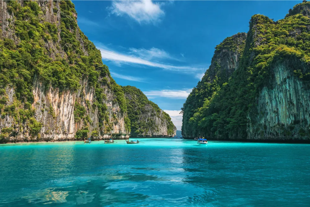 Phi Phi & Bamboo Islands by Speedboat - AMZ
