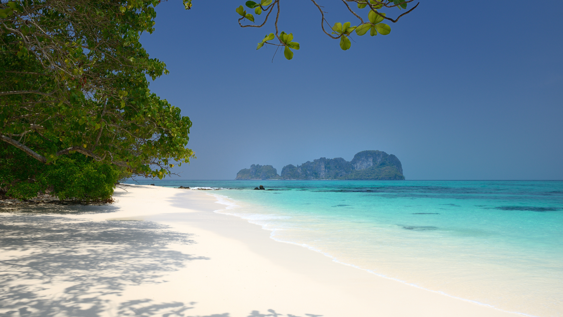 Phi Phi - Maya - Bamboo - Khai - Maiton Sunset (5 Islands) By Luxury Speed Catamaran