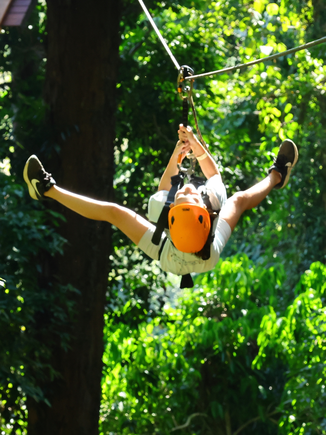 Sky Rock (Zipline 14 Platforms)