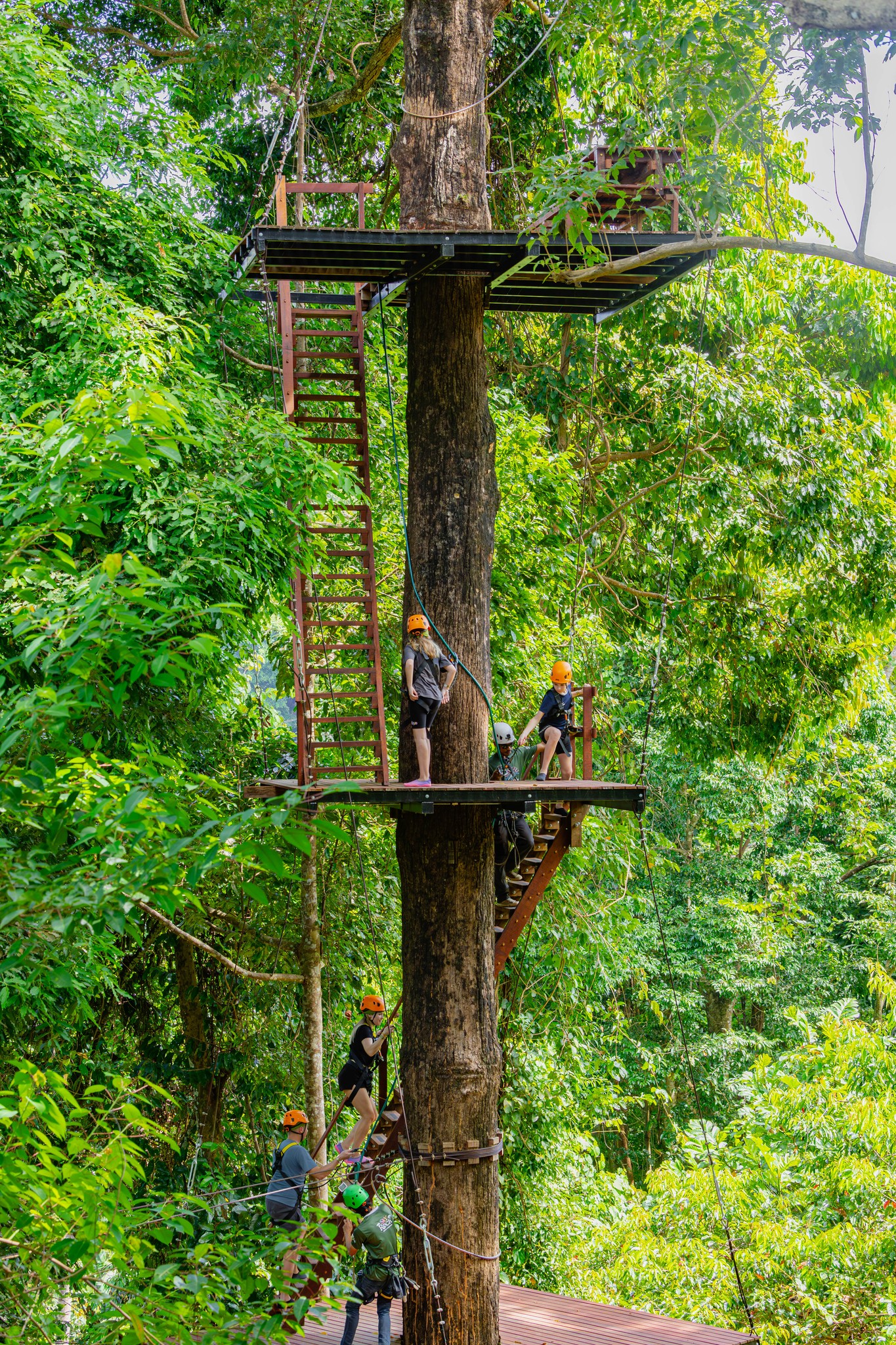 Sky Rock (Zipline 10 Platforms)