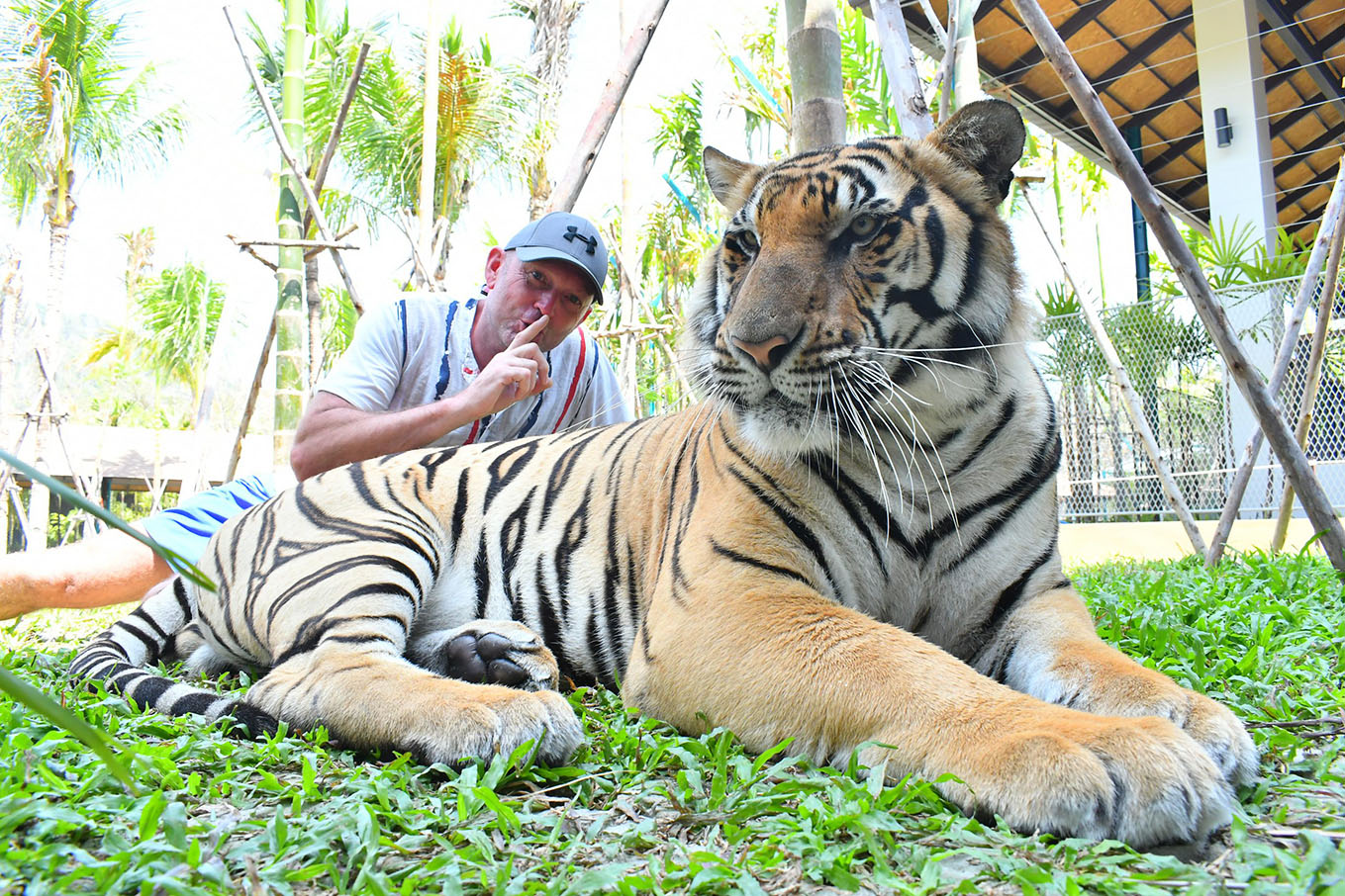 Phuket City Tour & Tiger