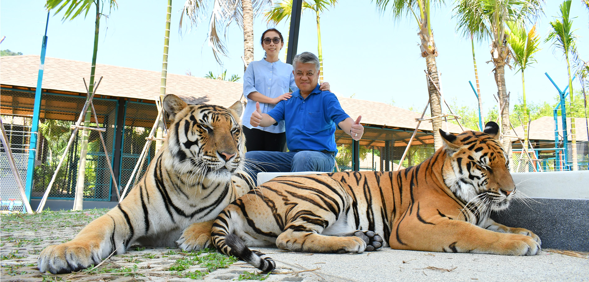 Phuket City Tour & Tiger