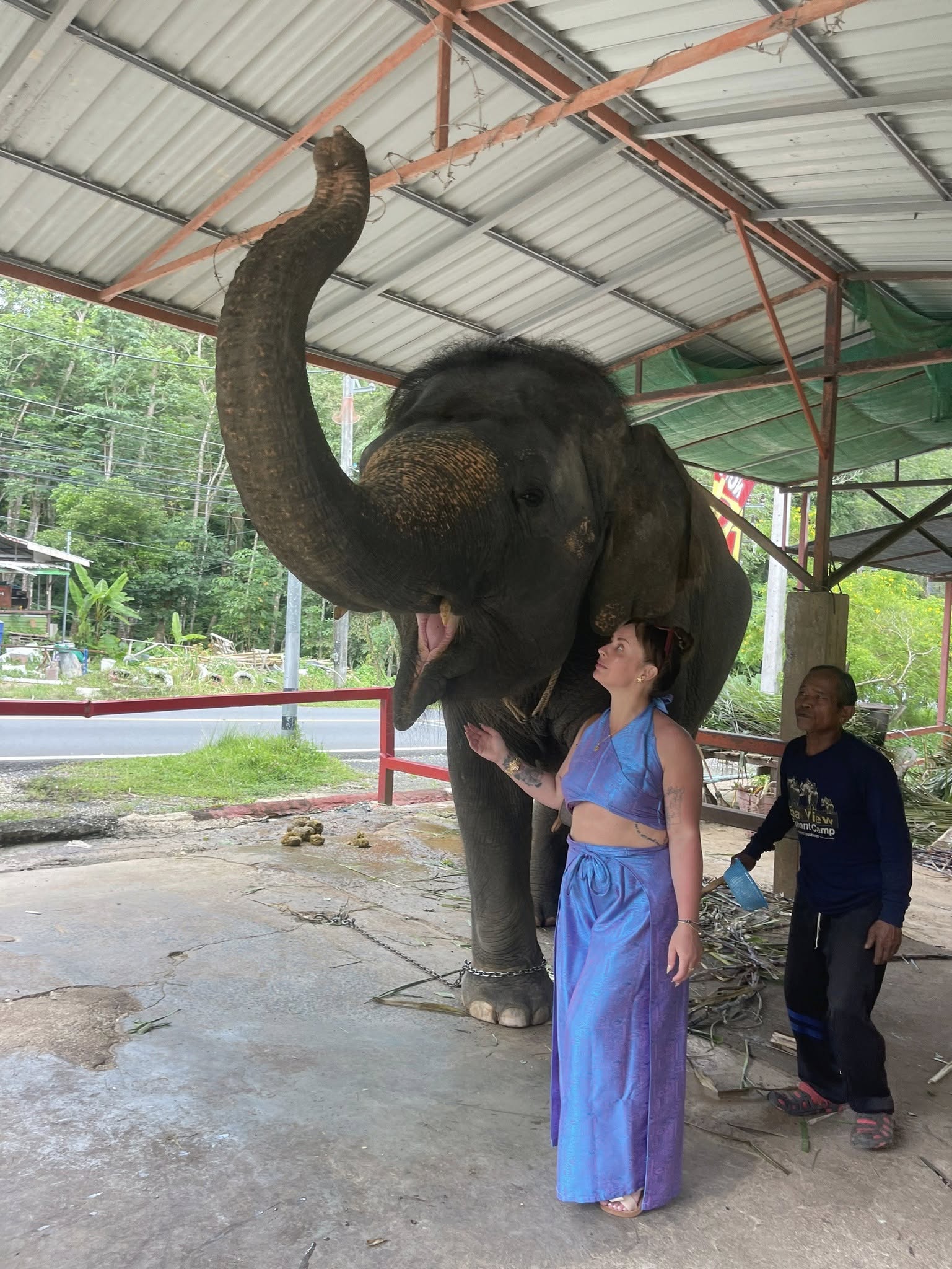 Phuket City Tour & Tiger