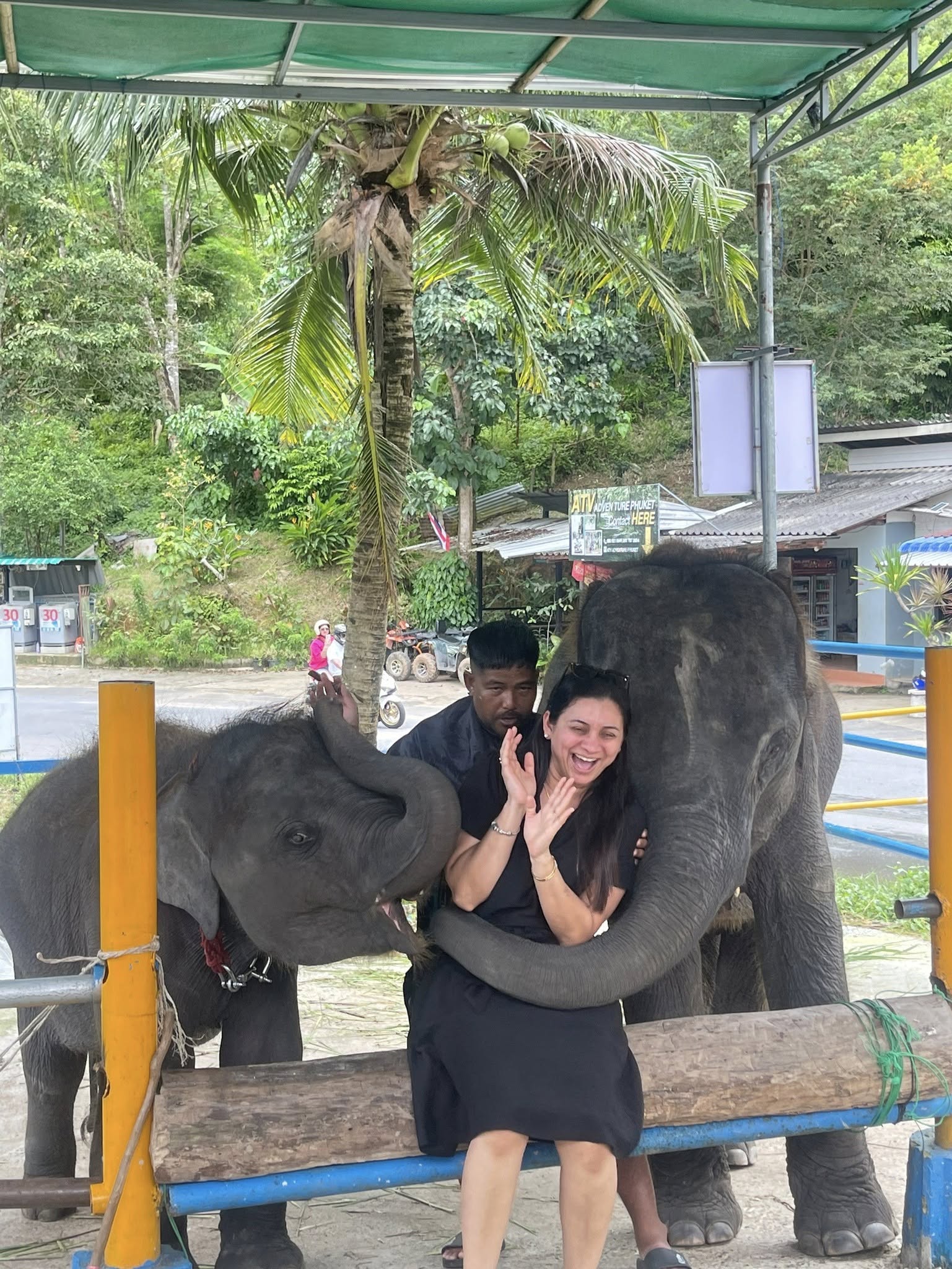 Phuket City Tour & Tiger