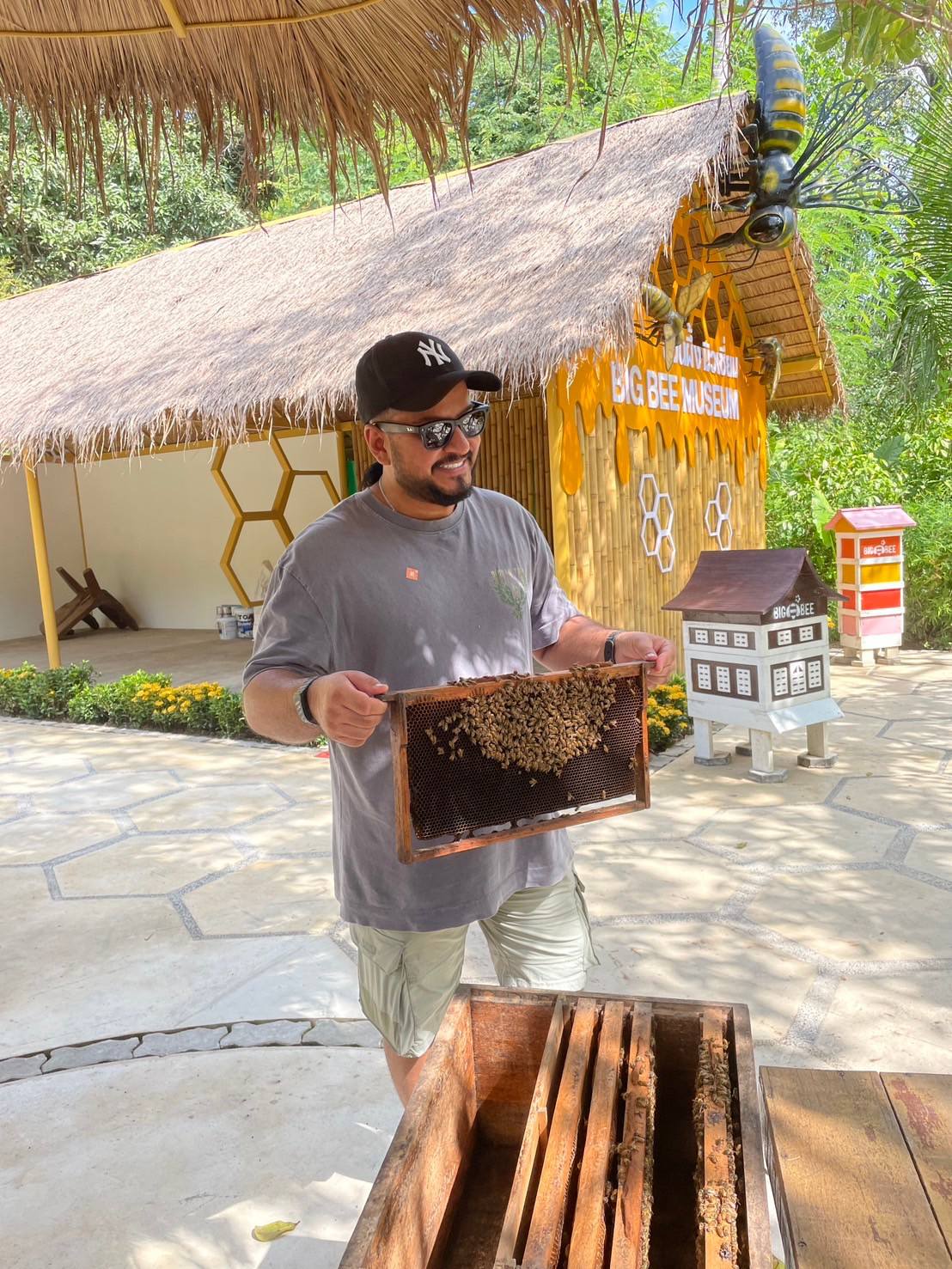 Phuket City Tour & Tiger