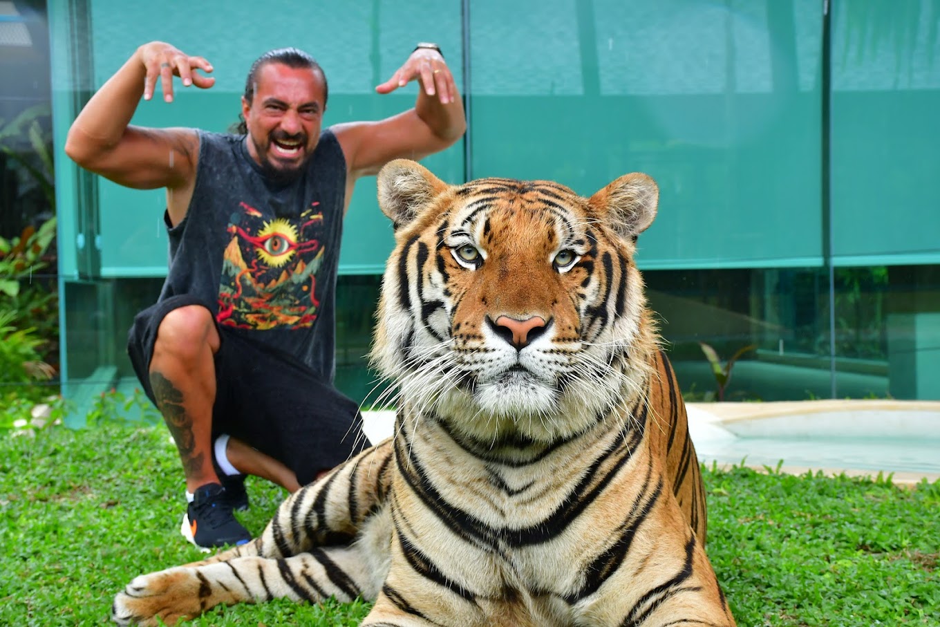 Phuket City Tour + Tiger Park + Elephant Trekking