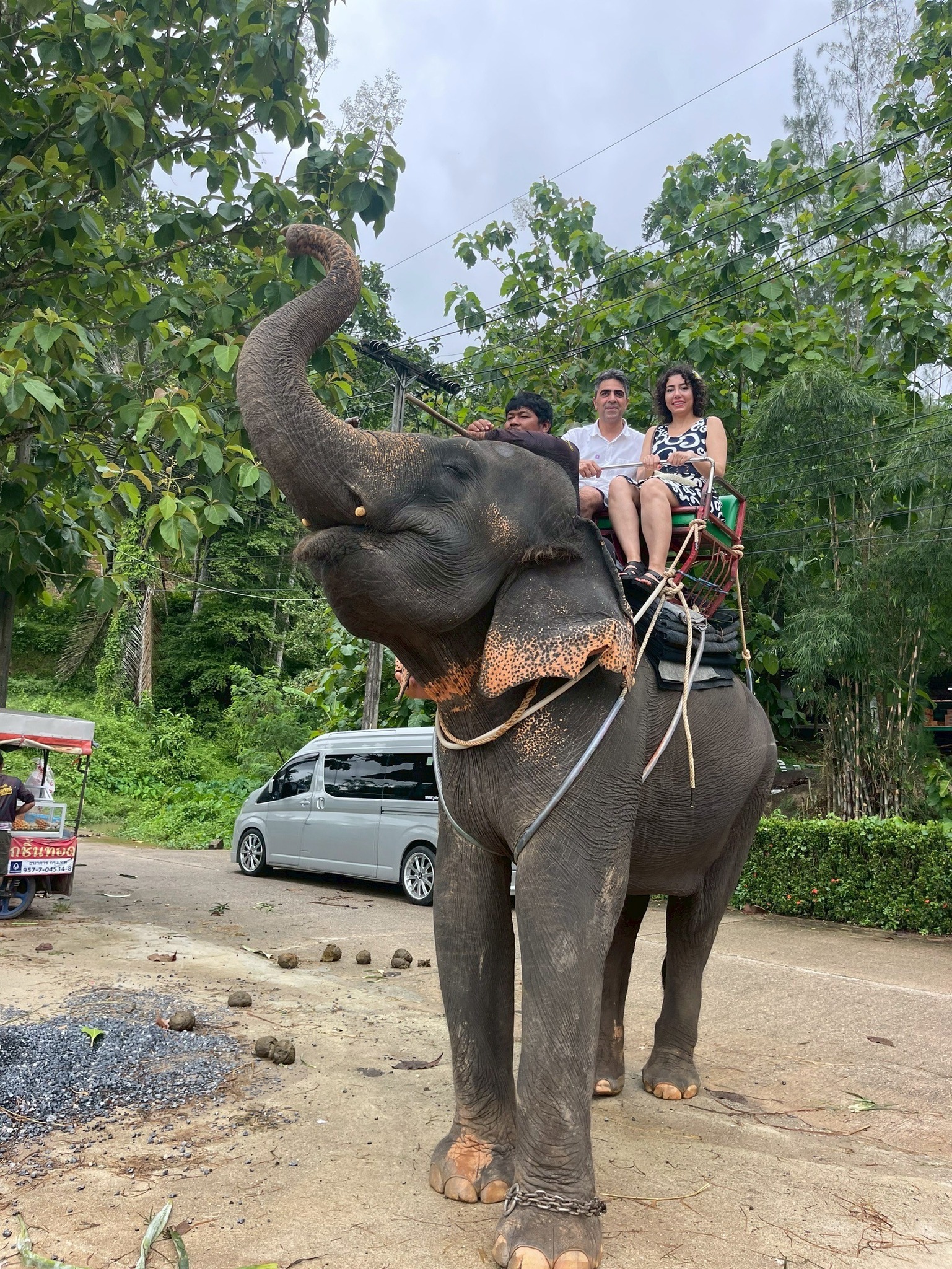 Phuket City Tour + Tiger Park + Elephant Trekking