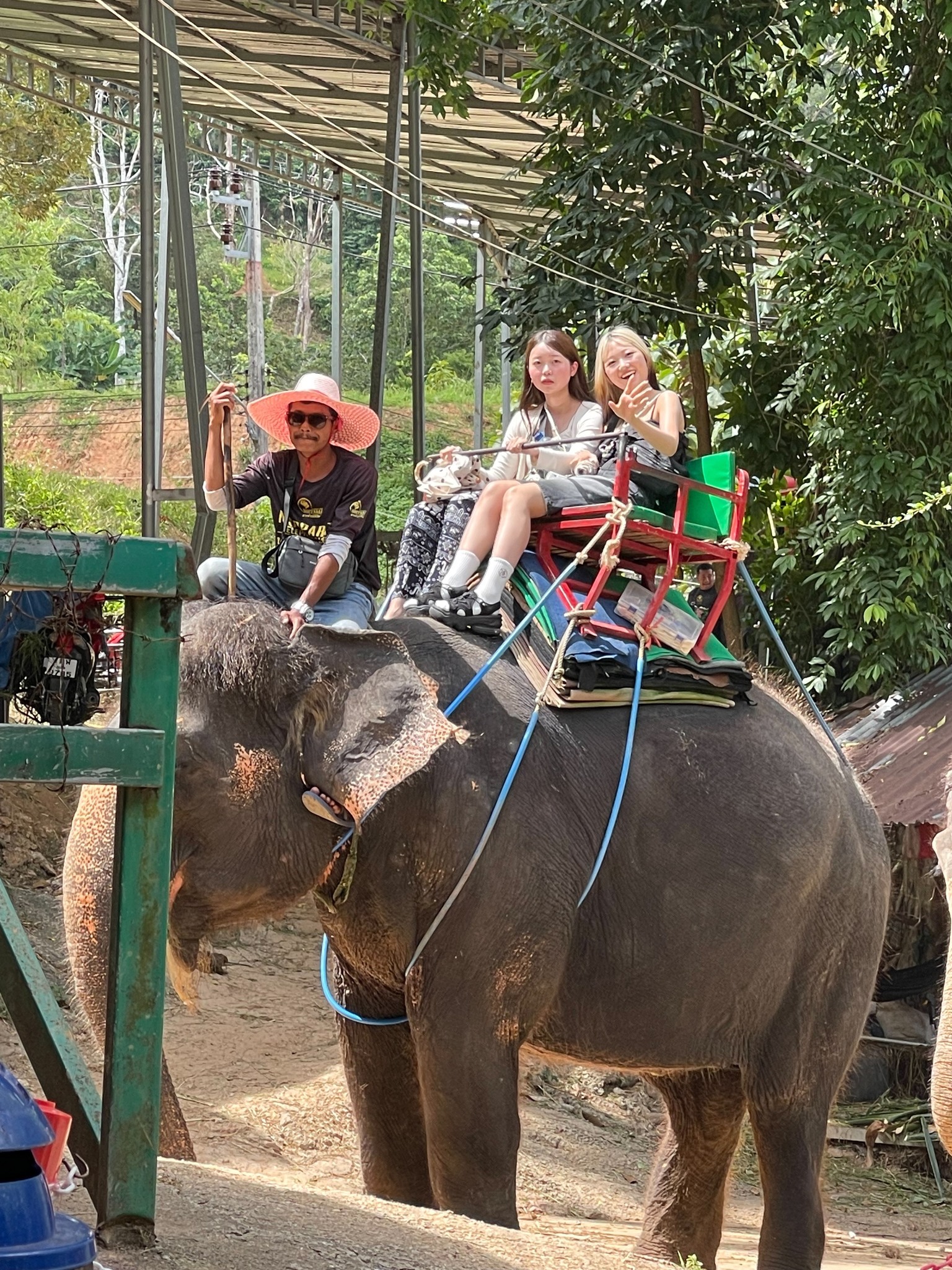 Phuket City Tour + Tiger Park + Elephant Trekking