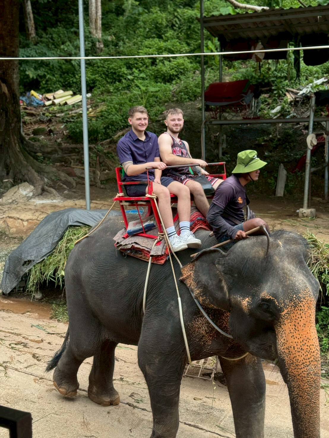 Phuket City Tour + Tiger Park + Elephant Trekking