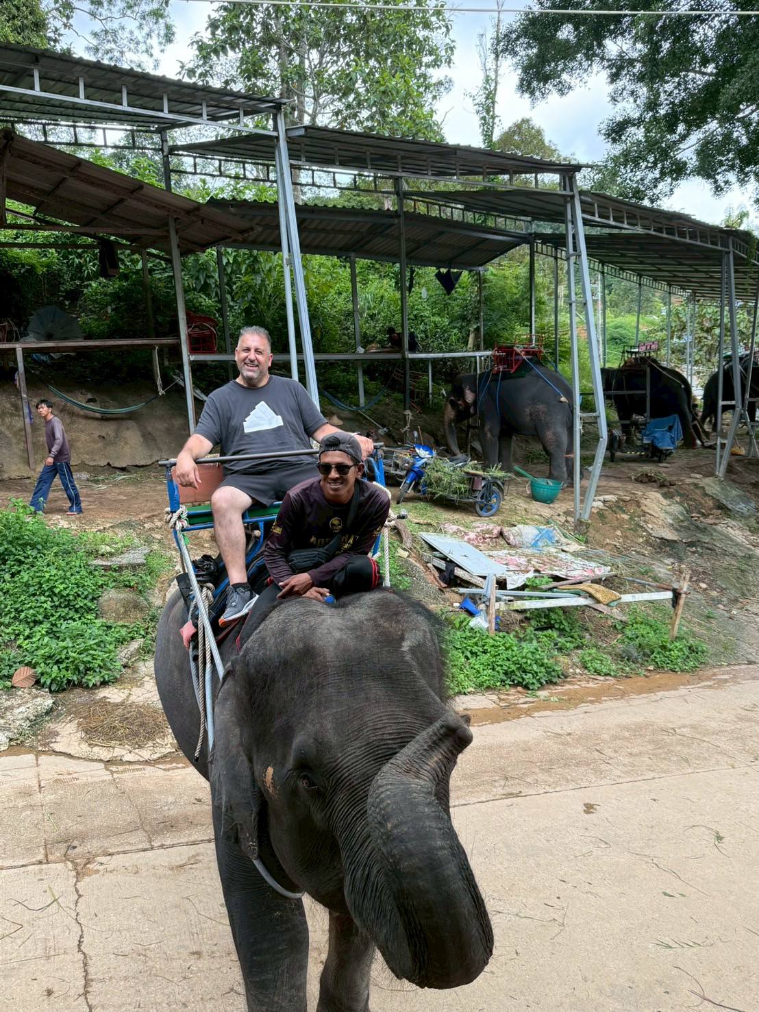 Phuket City Tour + Tiger Park + Elephant Trekking