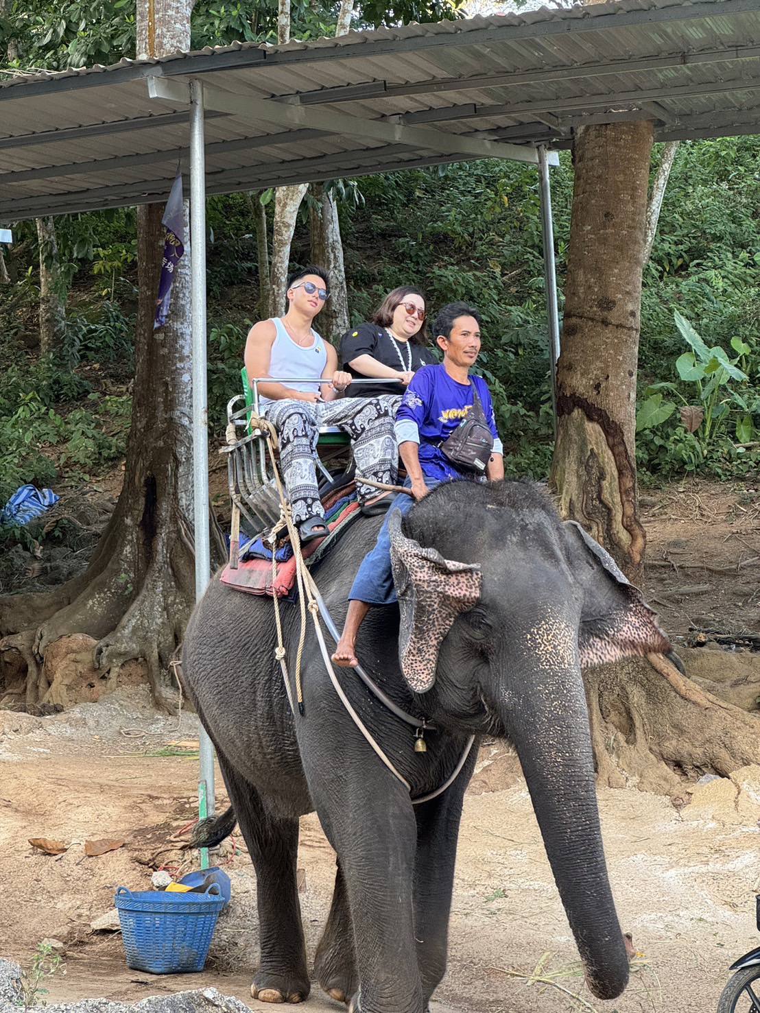 Phuket City Tour + Tiger Park + Elephant Trekking