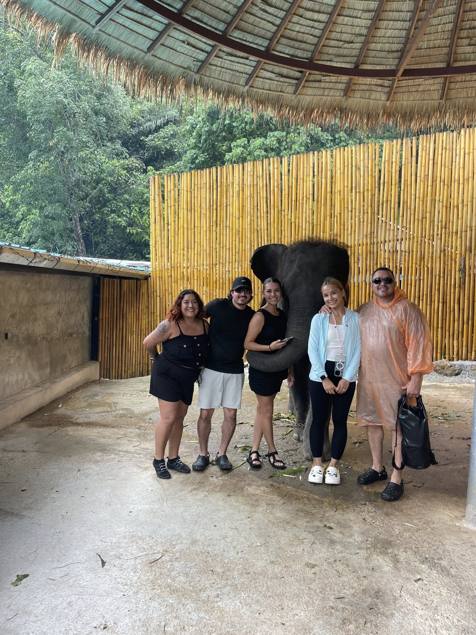 Phuket City Tour + Tiger Park + Elephant Trekking
