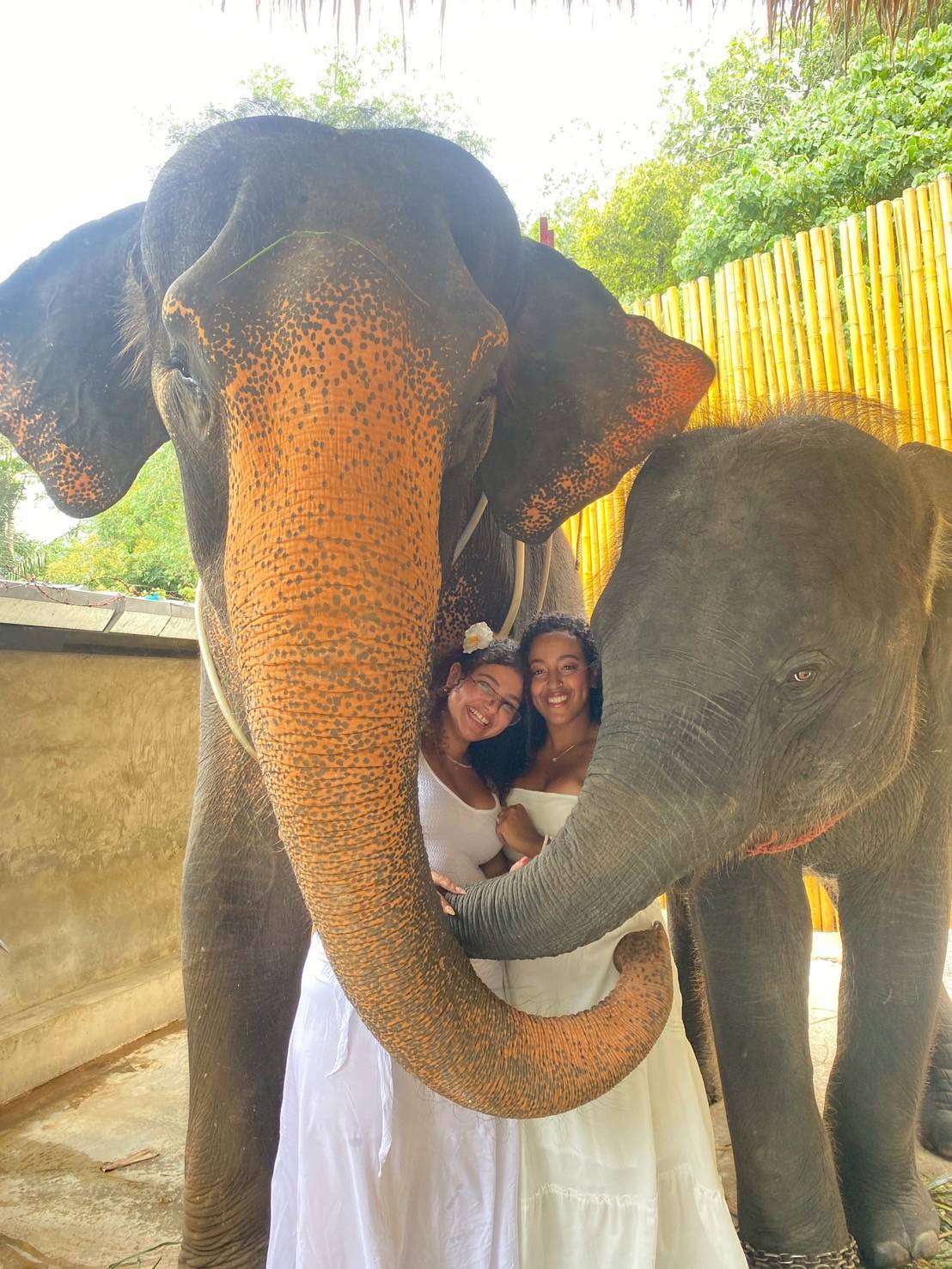 Phuket City Tour + Tiger Park + Elephant Trekking