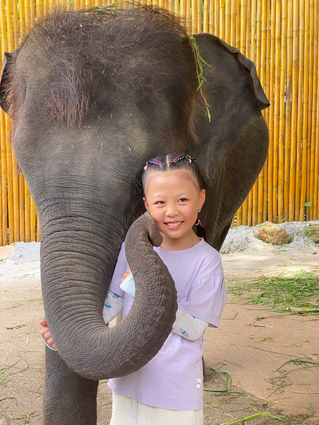 Phuket City Tour + Tiger Park + Elephant Trekking