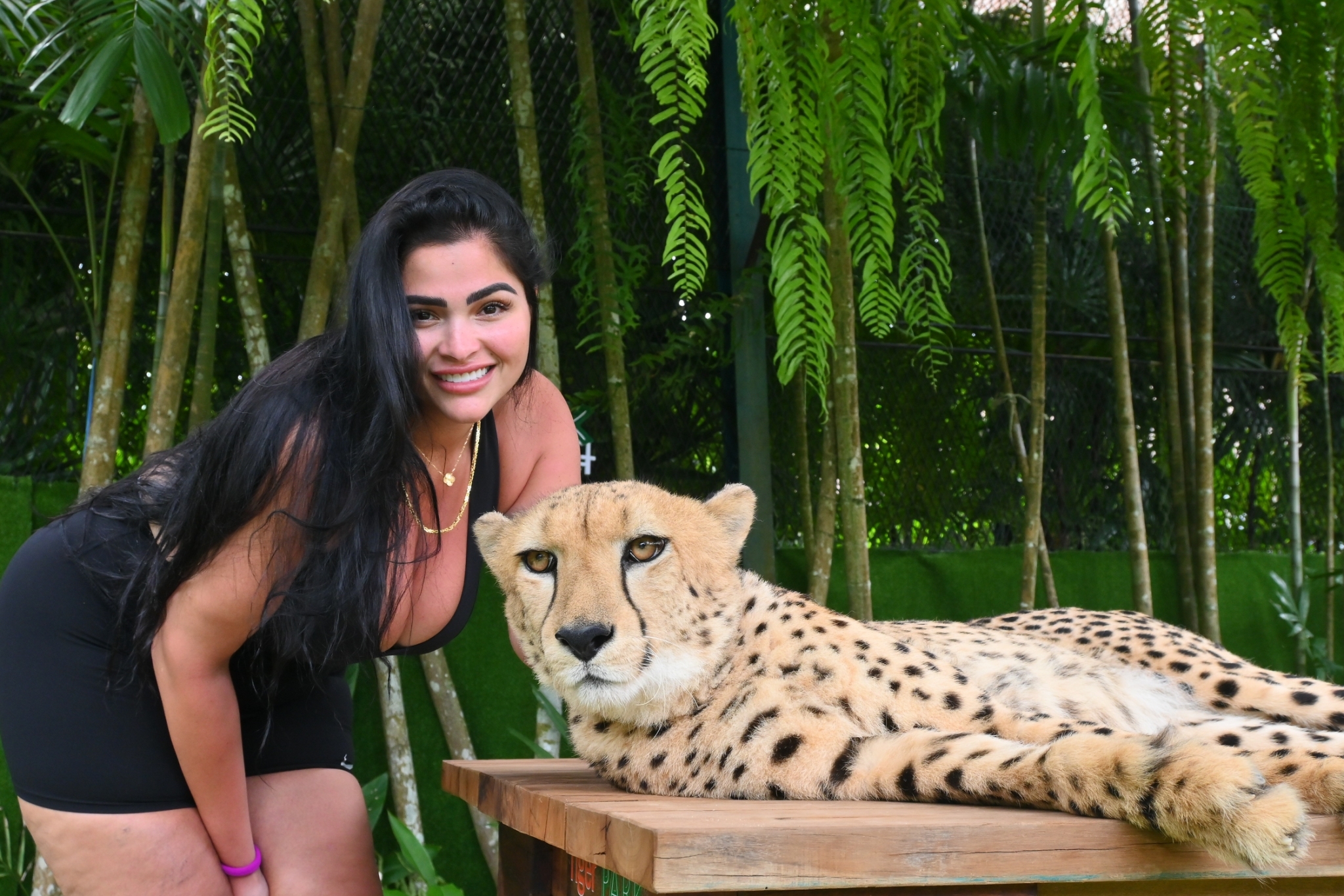 Phuket City Tour + Tiger Park + Elephant Trekking + ATV
