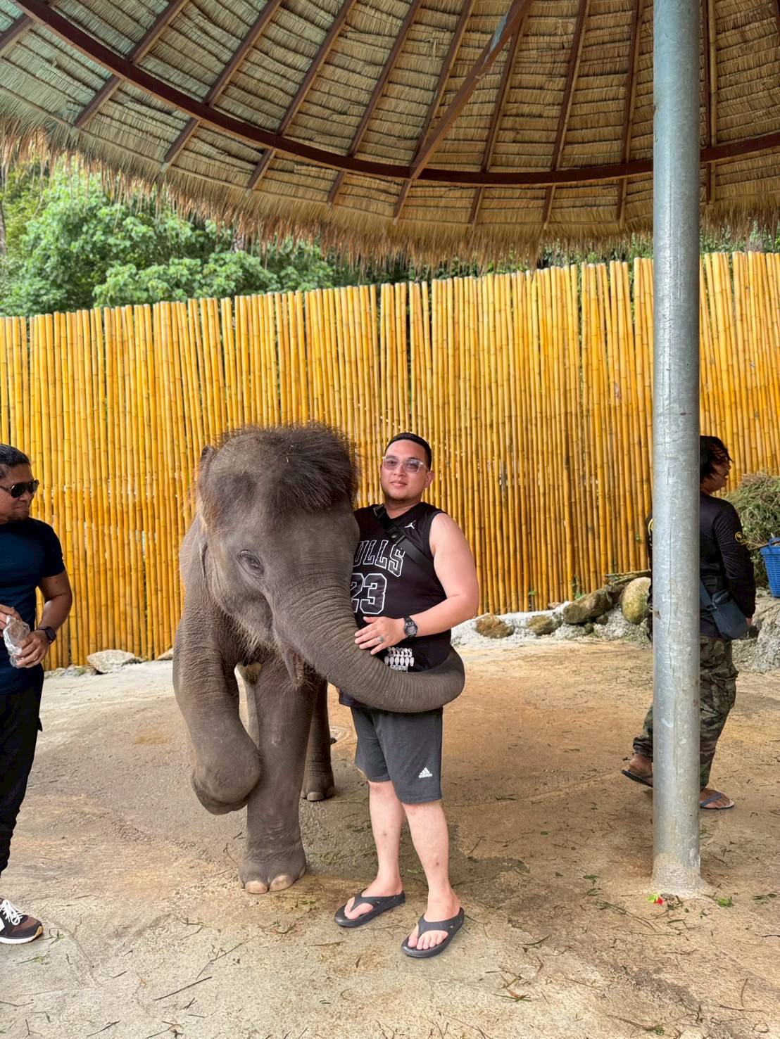 Phuket City Tour + Tiger Park + Elephant Trekking + ATV