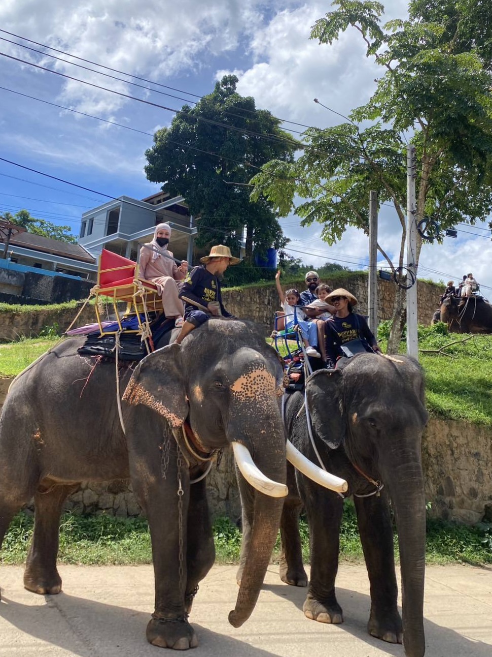 Phuket City Tour + Elephant Trekking