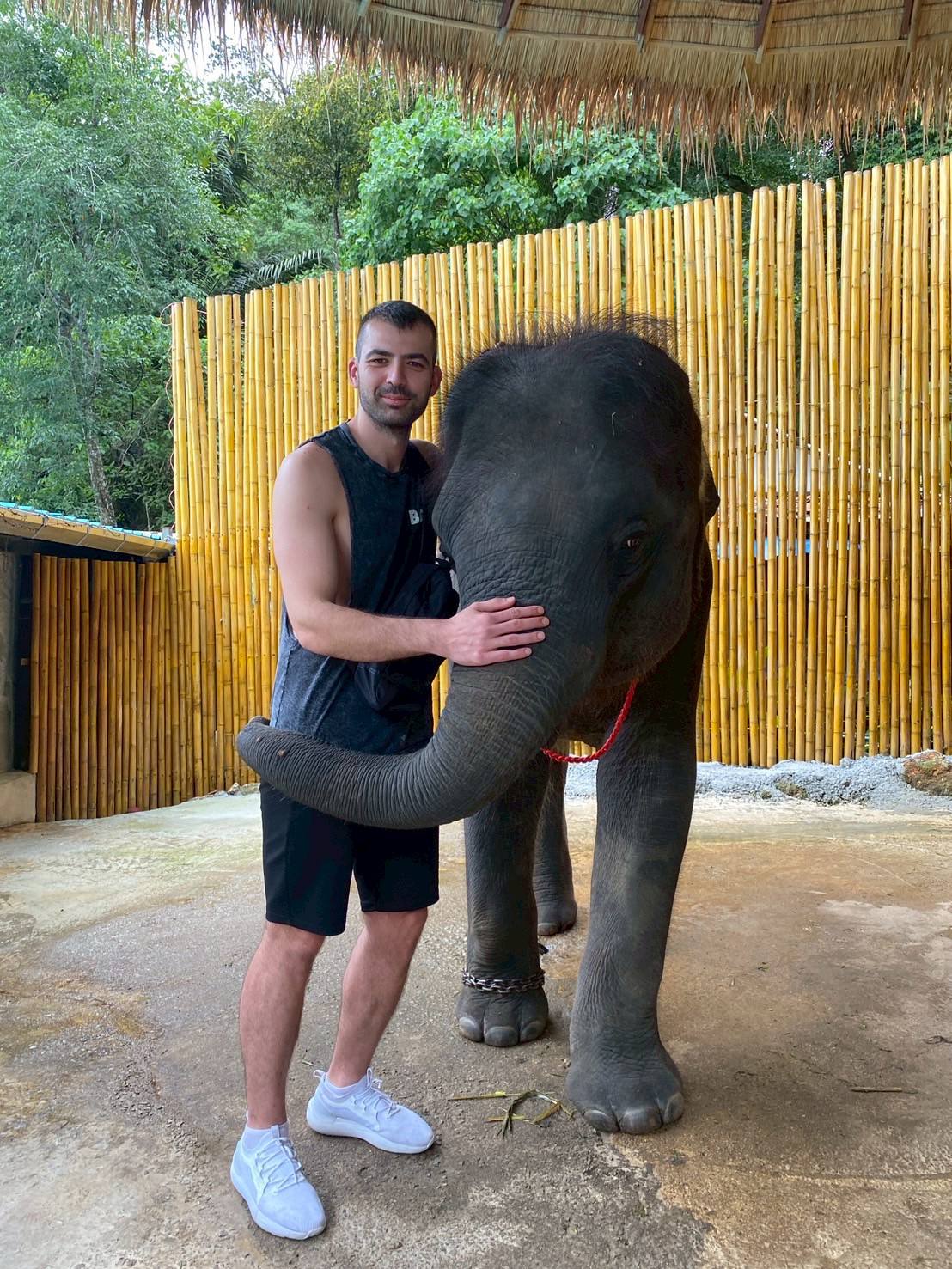 Phuket City Tour + Elephant Trekking