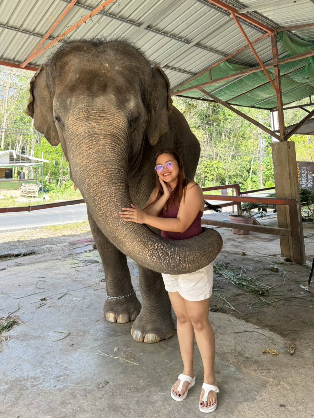 Phuket City Tour + Elephant Trekking