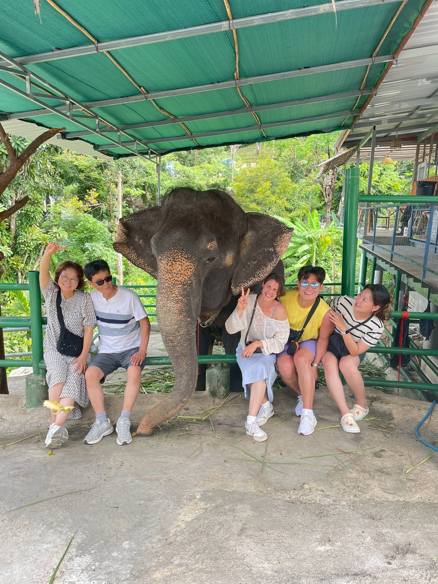 Phuket City Tour + Elephant Trekking