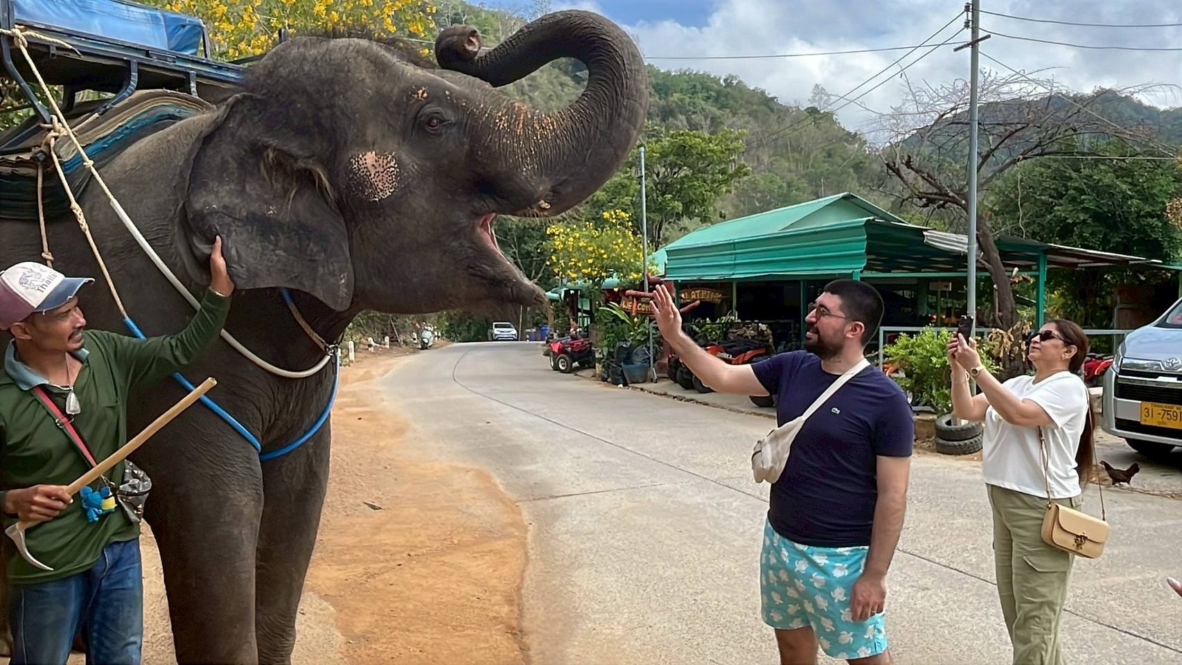 Phuket City Tour + Elephant Trekking